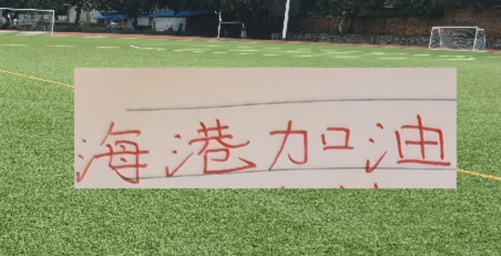 海港油箱又补满!就差2月实战!期待新赛季中超红魔!